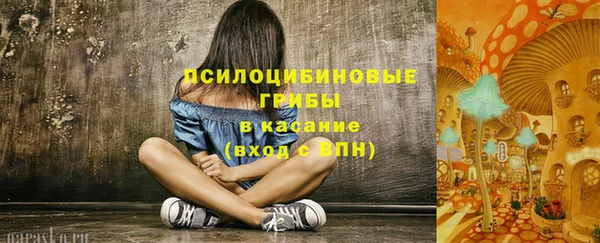 mdpv Арсеньев