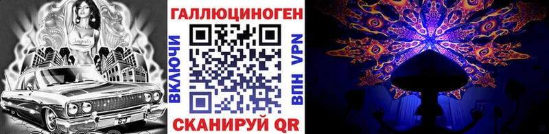 сколько стоит  blacksprut вход  Псилоцибиновые грибы Magic Shrooms  Дмитриев 